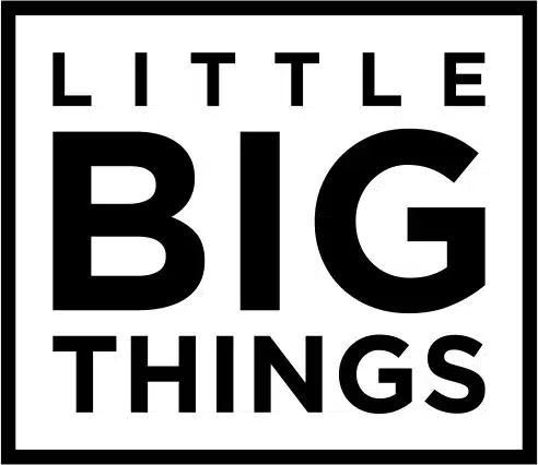 Little Big Things le podcast.jpg